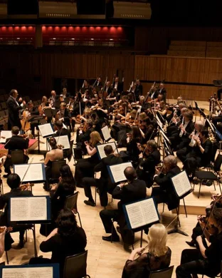 The Florida Orchestra