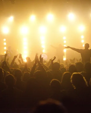 A Night To Remember Tom Petty - Totally Tom Petty Tribute Band Largo