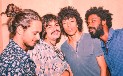Boogarins