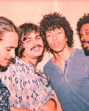 Boogarins
