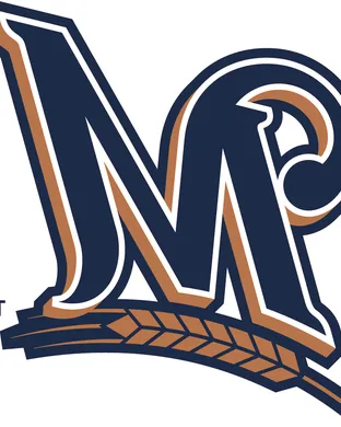Milwaukee Brewers vs. Tampa Bay Rays