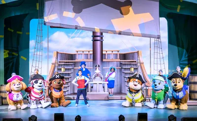 Paw Patrol Live