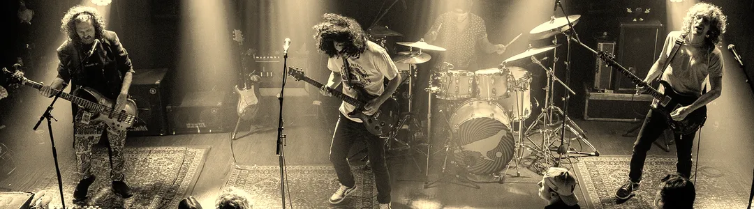 Pigeons Playing Ping Pong