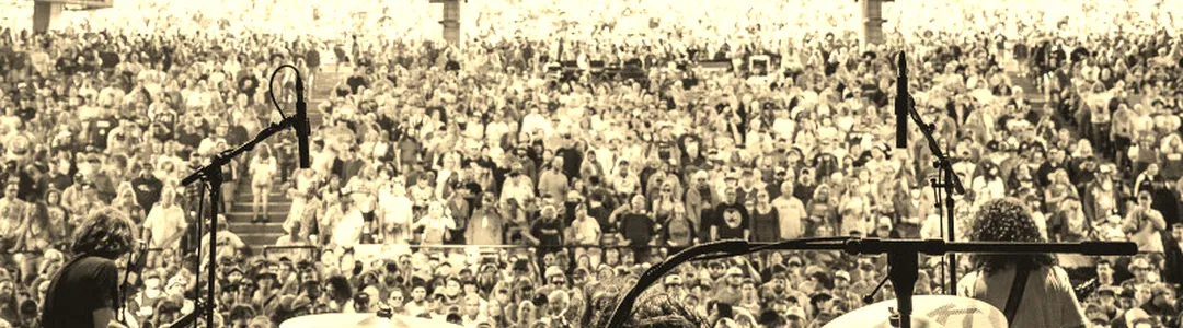 Pigeons Playing Ping Pong