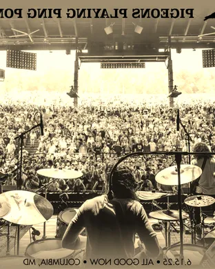 Pigeons Playing Ping Pong & Lotus