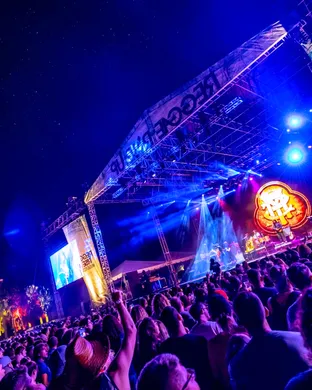 Live concert by Reggae Rise Up Florida - 2 Day Pass (Saturday & Sunday)