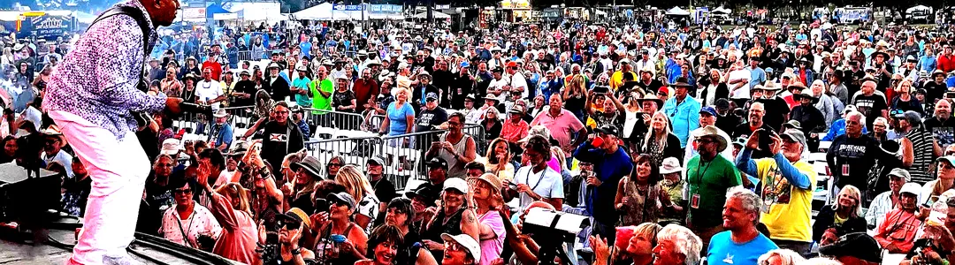 Tampa Bay Blues Festival