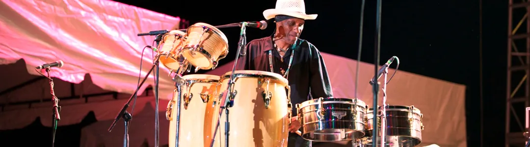 Tampa Bay Blues Festival