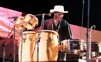 Tampa Bay Blues Festival