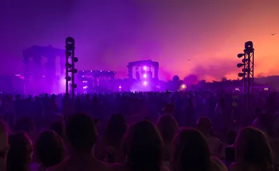 We Belong Here