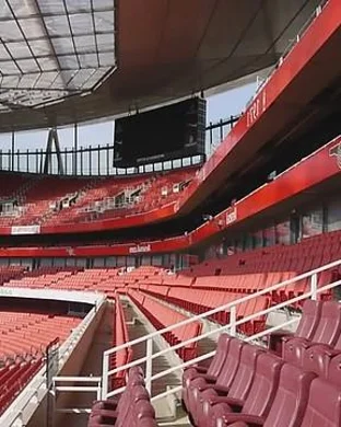 Major League Pickleball